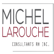 Logo de Michel Larouche consultant